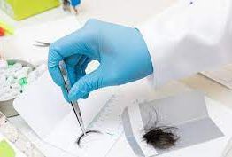 Por que o exame toxicológico?